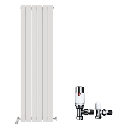 Radiator vertical flat double - radiator,